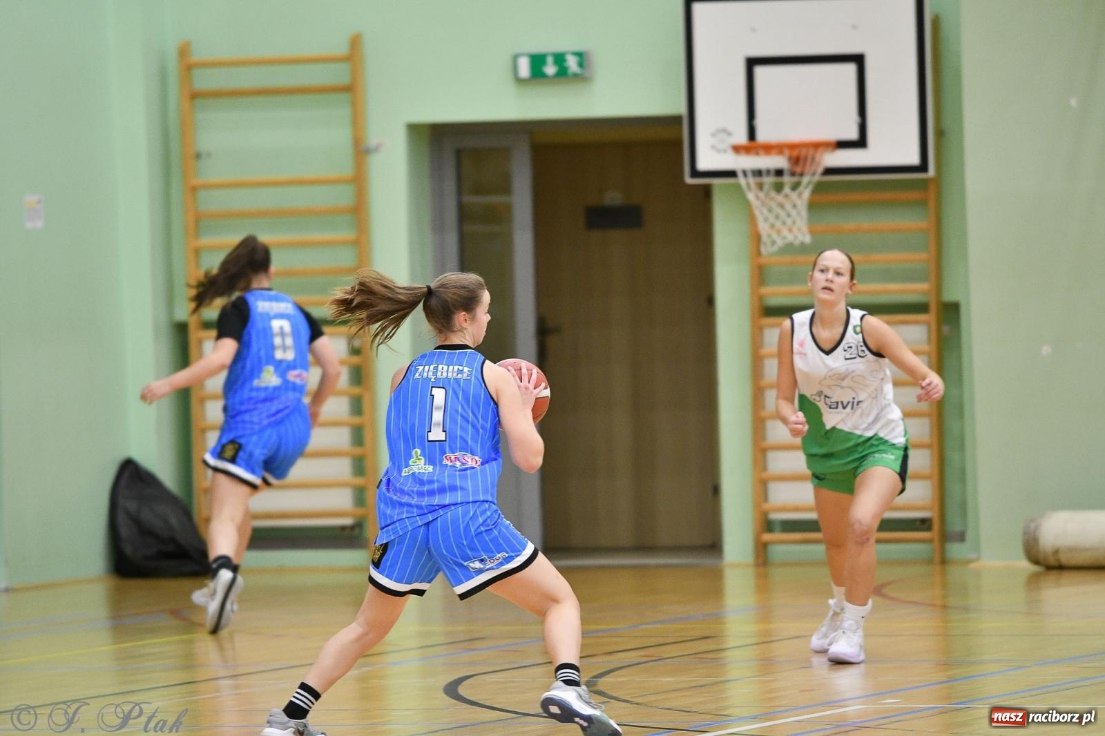 Zdjęcie w galerii na portalu naszraciborz.pl: Sparta Ziębice zdecydowanie lepsza od RKK AZS Racibórz [FOTO] wiadomości z regionu