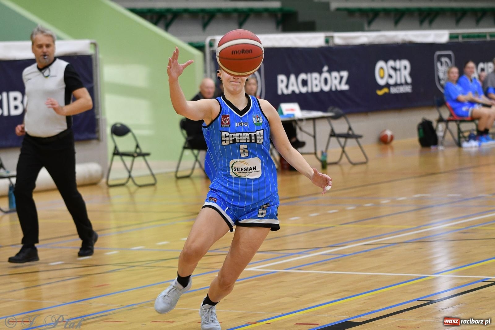 Zdjęcie w galerii na portalu naszraciborz.pl: Sparta Ziębice zdecydowanie lepsza od RKK AZS Racibórz [FOTO] wiadomości z regionu