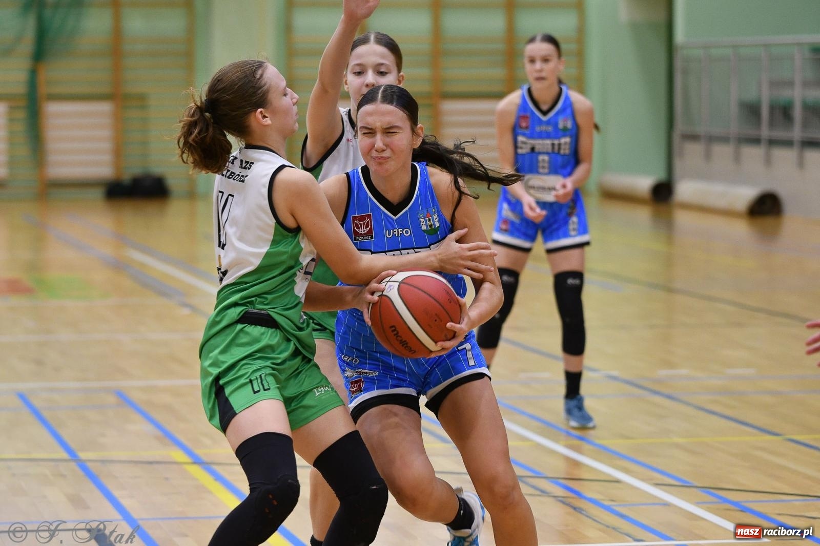 Zdjęcie w galerii na portalu naszraciborz.pl: Sparta Ziębice zdecydowanie lepsza od RKK AZS Racibórz [FOTO] wiadomości z regionu