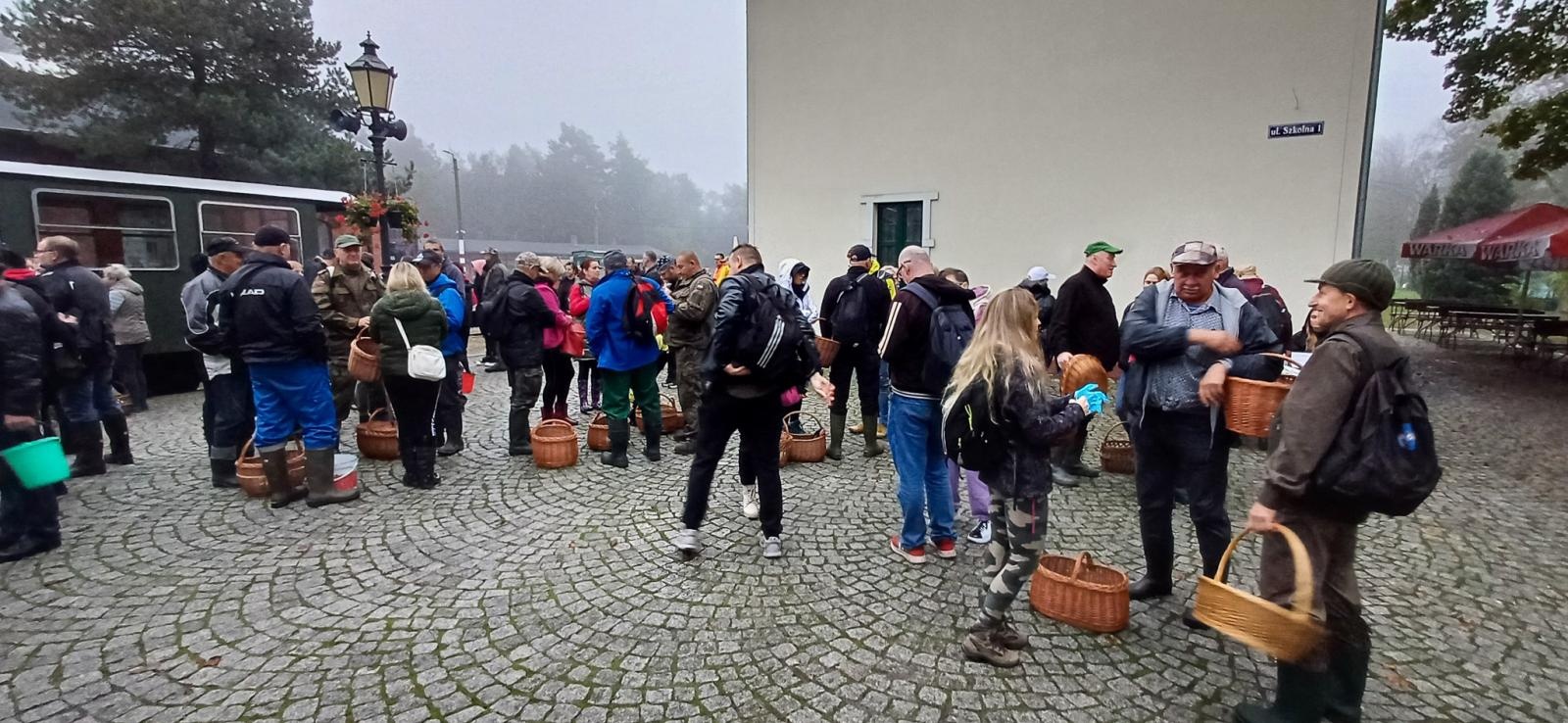 Zdjęcie w galerii na portalu naszraciborz.pl: Grzybiarze ziemi raciborskiej poszli na rekord. 250 osób zebrało prawie pół tony grzybów wiadomości z regionu
