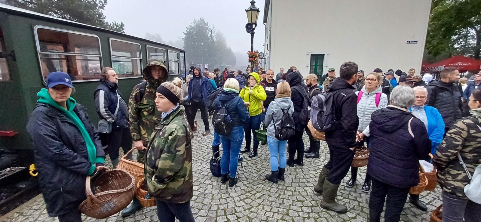 Zdjęcie w galerii na portalu naszraciborz.pl: Grzybiarze ziemi raciborskiej poszli na rekord. 250 osób zebrało prawie pół tony grzybów wiadomości z regionu