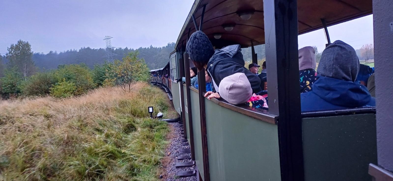 Zdjęcie w galerii na portalu naszraciborz.pl: Grzybiarze ziemi raciborskiej poszli na rekord. 250 osób zebrało prawie pół tony grzybów wiadomości z regionu