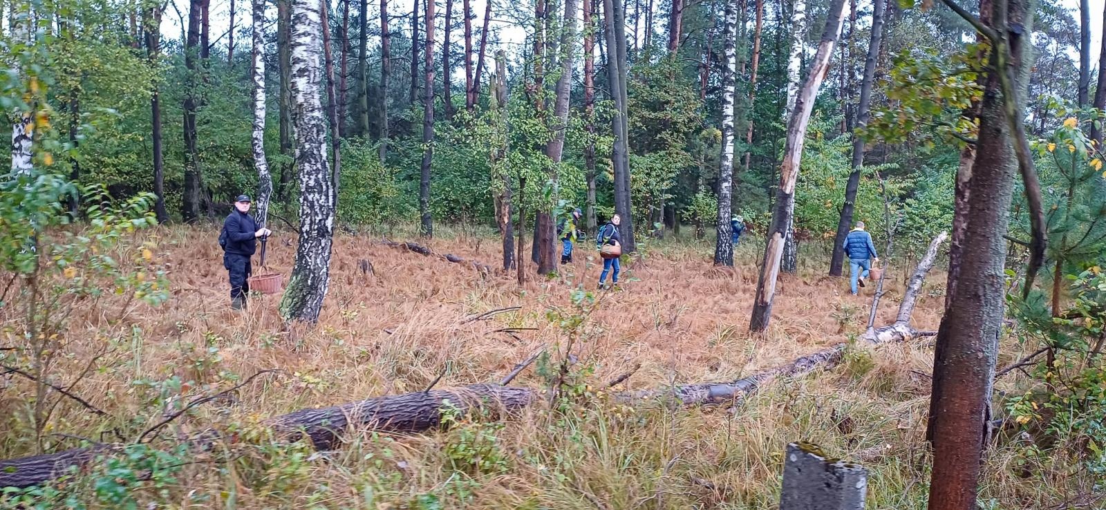 Zdjęcie w galerii na portalu naszraciborz.pl: Grzybiarze ziemi raciborskiej poszli na rekord. 250 osób zebrało prawie pół tony grzybów wiadomości z regionu