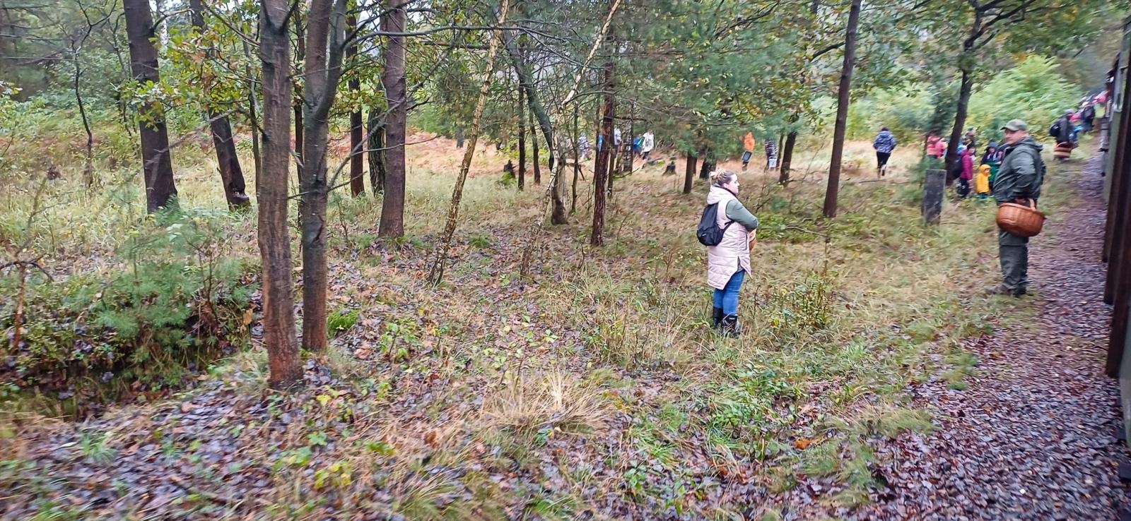 Zdjęcie w galerii na portalu naszraciborz.pl: Grzybiarze ziemi raciborskiej poszli na rekord. 250 osób zebrało prawie pół tony grzybów wiadomości z regionu