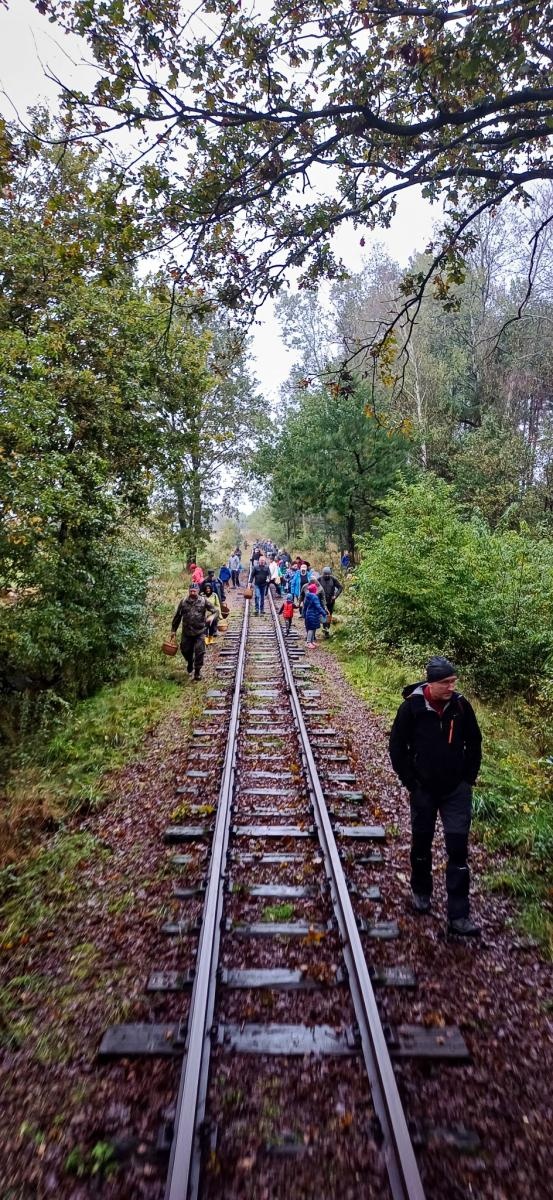 Zdjęcie w galerii na portalu naszraciborz.pl: Grzybiarze ziemi raciborskiej poszli na rekord. 250 osób zebrało prawie pół tony grzybów wiadomości z regionu