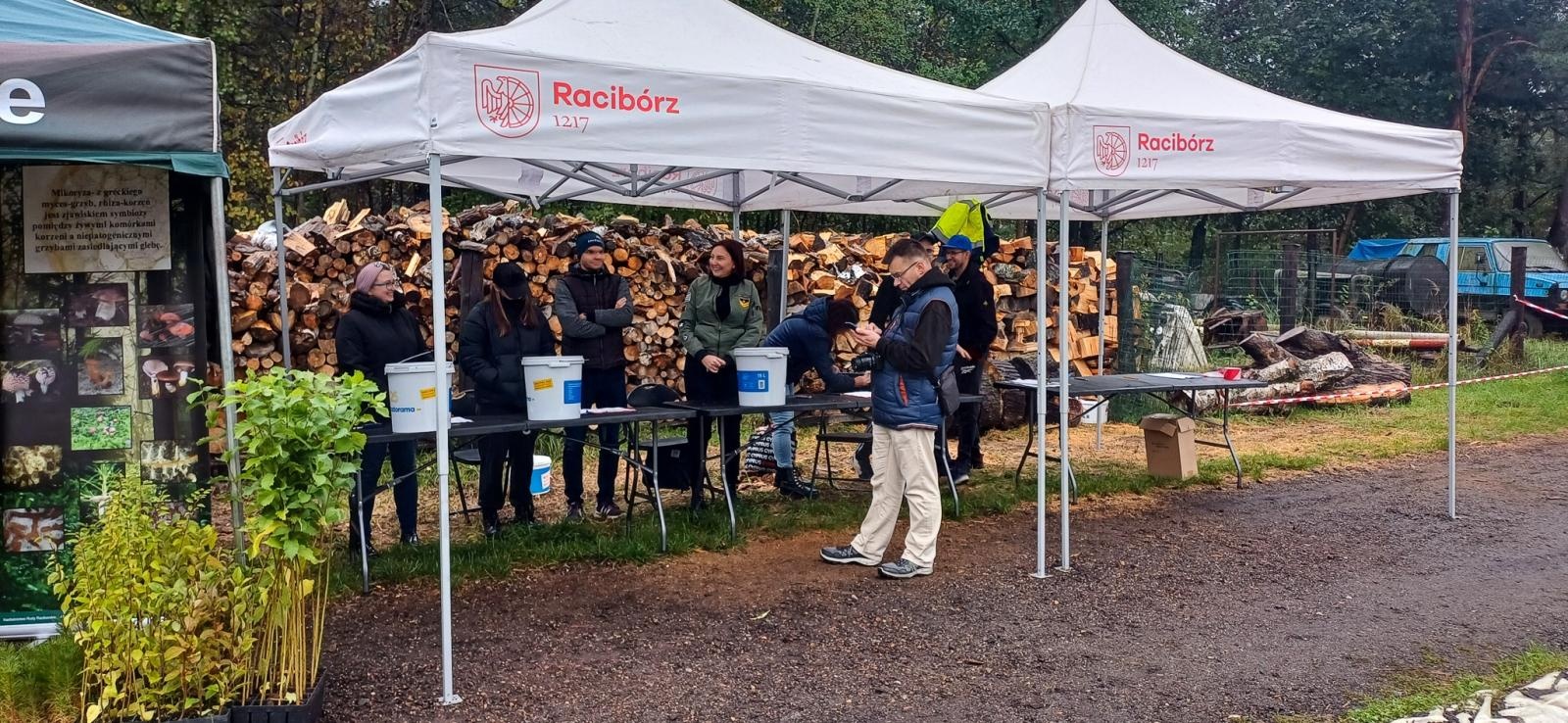 Zdjęcie w galerii na portalu naszraciborz.pl: Grzybiarze ziemi raciborskiej poszli na rekord. 250 osób zebrało prawie pół tony grzybów wiadomości z regionu