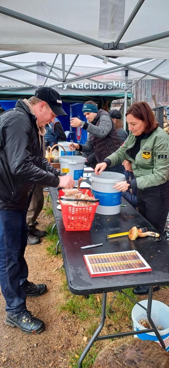 Zdjęcie w galerii na portalu naszraciborz.pl: Grzybiarze ziemi raciborskiej poszli na rekord. 250 osób zebrało prawie pół tony grzybów wiadomości z regionu