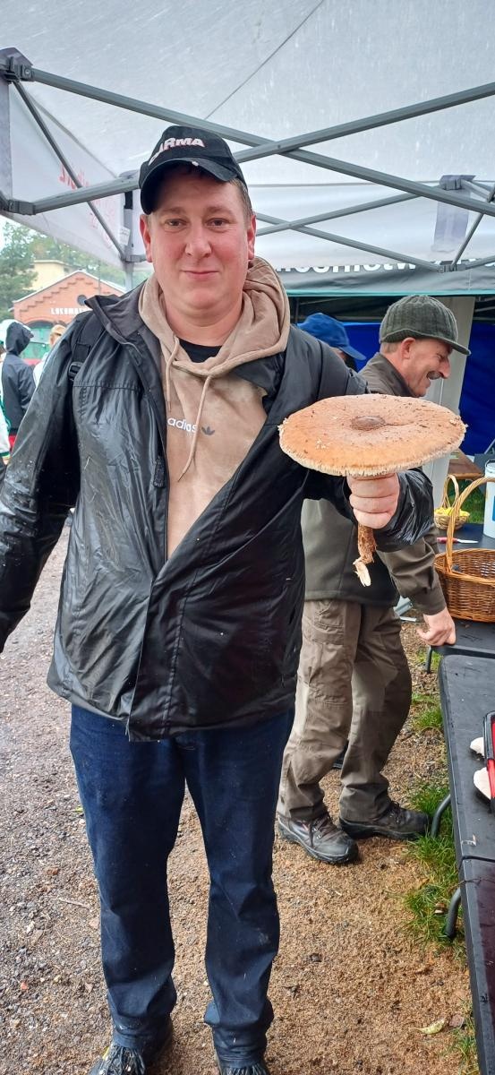Zdjęcie w galerii na portalu naszraciborz.pl: Grzybiarze ziemi raciborskiej poszli na rekord. 250 osób zebrało prawie pół tony grzybów wiadomości z regionu