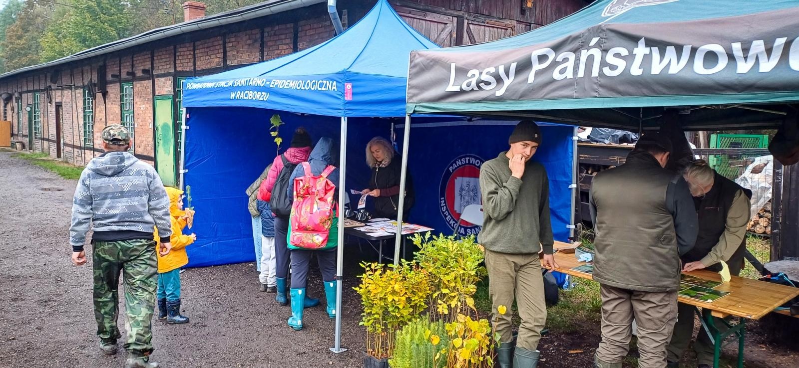 Zdjęcie w galerii na portalu naszraciborz.pl: Grzybiarze ziemi raciborskiej poszli na rekord. 250 osób zebrało prawie pół tony grzybów wiadomości z regionu