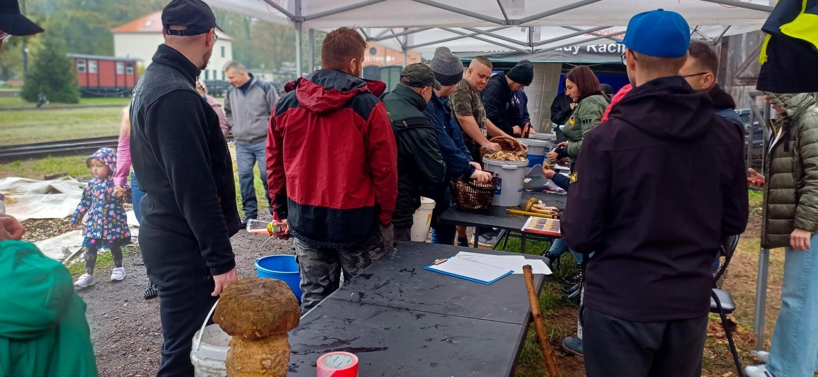 Zdjęcie w galerii na portalu naszraciborz.pl: Grzybiarze ziemi raciborskiej poszli na rekord. 250 osób zebrało prawie pół tony grzybów wiadomości z regionu