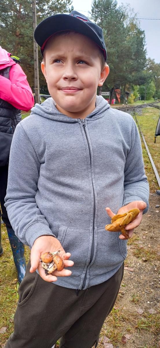 Zdjęcie w galerii na portalu naszraciborz.pl: Grzybiarze ziemi raciborskiej poszli na rekord. 250 osób zebrało prawie pół tony grzybów wiadomości z regionu