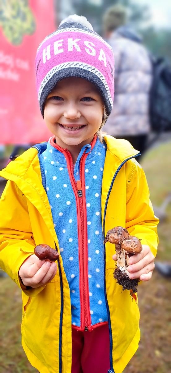 Zdjęcie w galerii na portalu naszraciborz.pl: Grzybiarze ziemi raciborskiej poszli na rekord. 250 osób zebrało prawie pół tony grzybów wiadomości z regionu