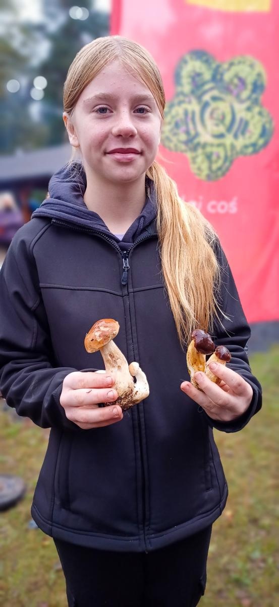 Zdjęcie w galerii na portalu naszraciborz.pl: Grzybiarze ziemi raciborskiej poszli na rekord. 250 osób zebrało prawie pół tony grzybów wiadomości z regionu