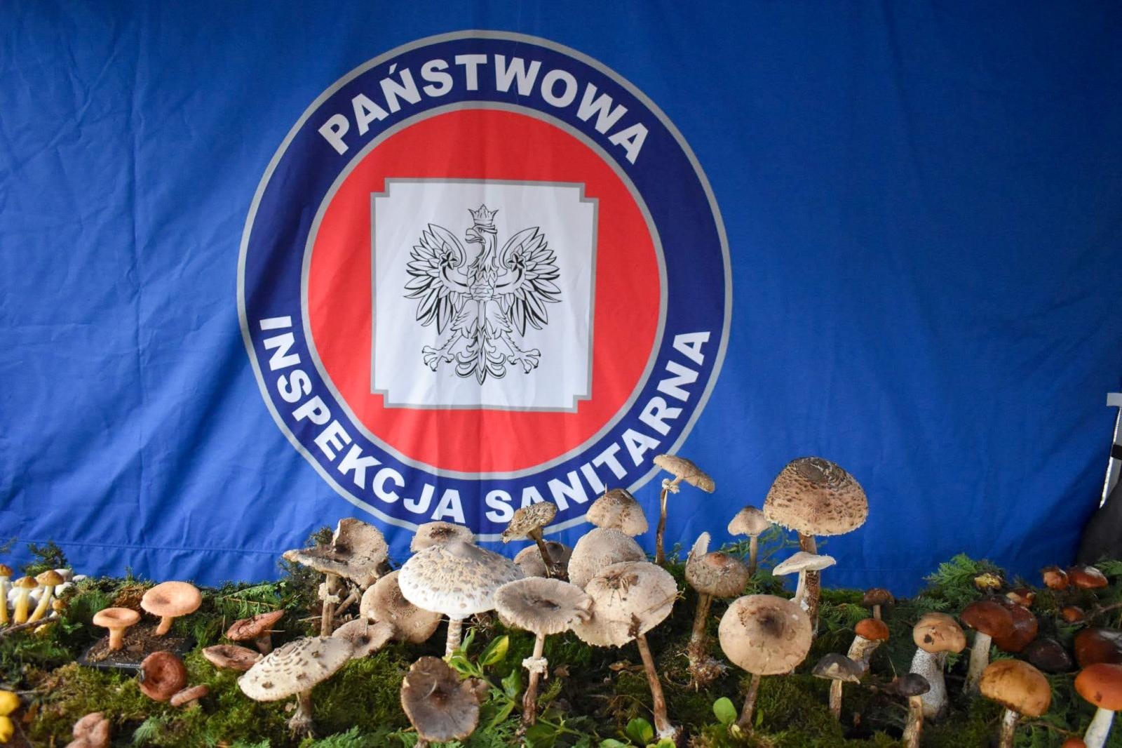 Zdjęcie w galerii na portalu naszraciborz.pl: Bezpieczne grzybobranie na Zamku Piastowskim: Frekwencja dopisała! wiadomości z regionu