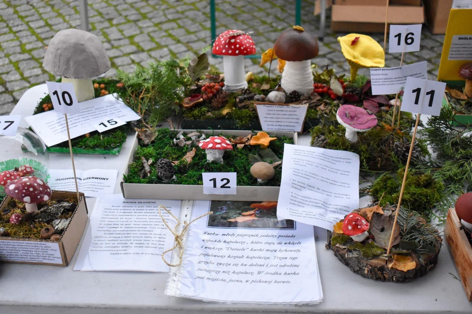 Zdjęcie w galerii na portalu naszraciborz.pl: Bezpieczne grzybobranie na Zamku Piastowskim: Frekwencja dopisała! wiadomości z regionu