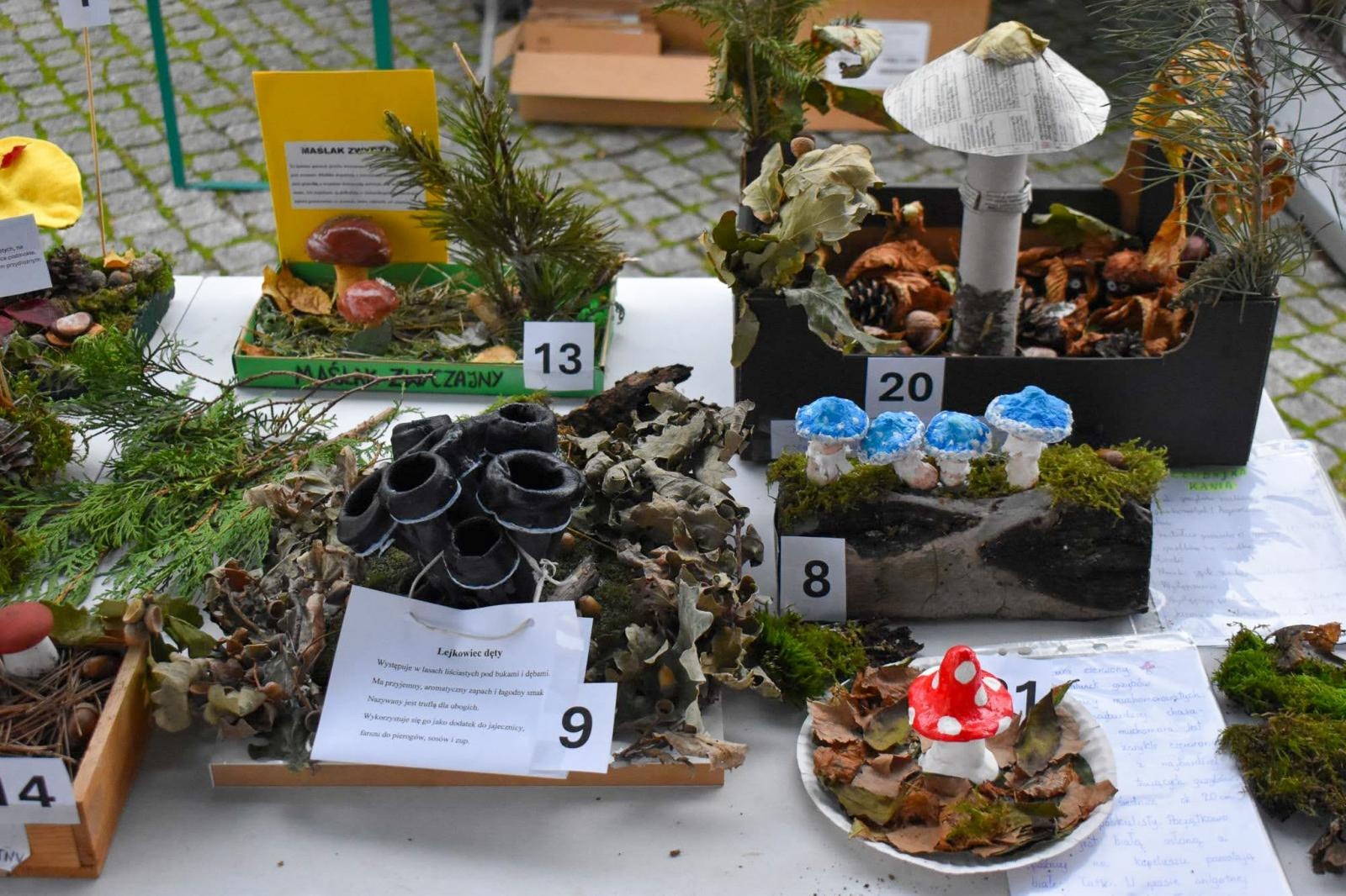 Zdjęcie w galerii na portalu naszraciborz.pl: Bezpieczne grzybobranie na Zamku Piastowskim: Frekwencja dopisała! wiadomości z regionu