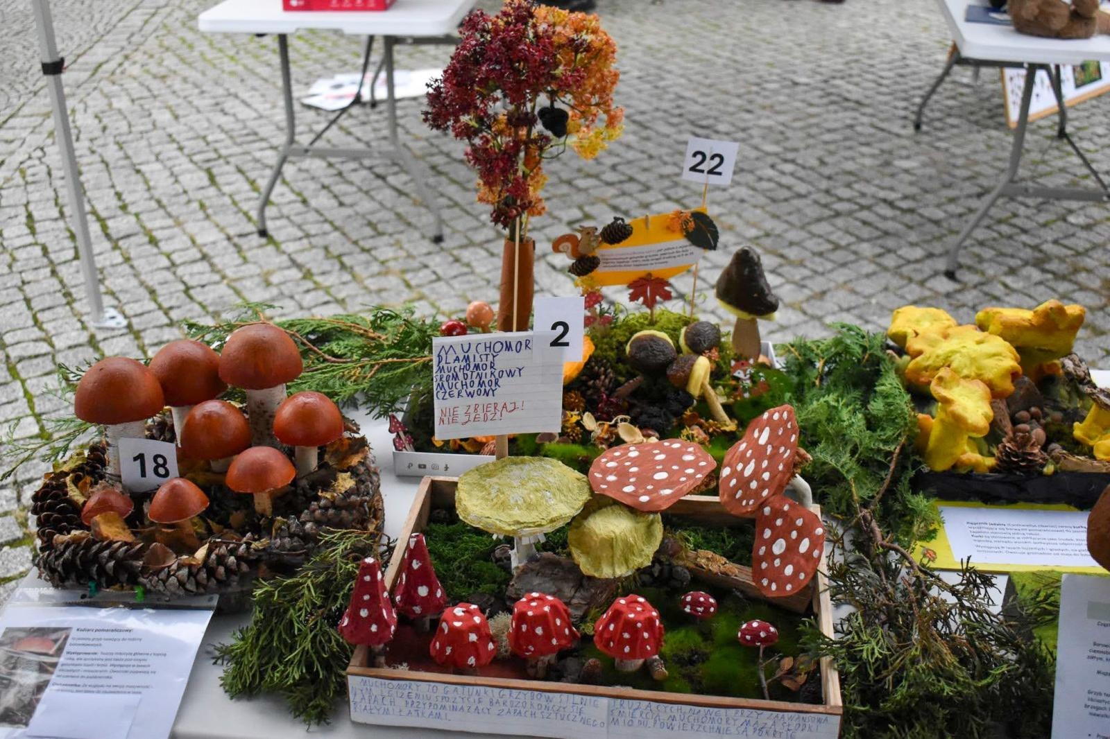 Zdjęcie w galerii na portalu naszraciborz.pl: Bezpieczne grzybobranie na Zamku Piastowskim: Frekwencja dopisała! wiadomości z regionu