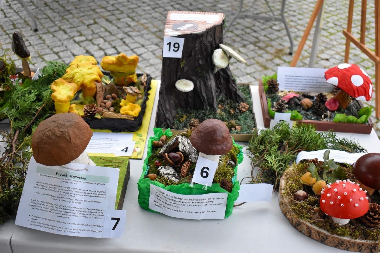 Zdjęcie w galerii na portalu naszraciborz.pl: Bezpieczne grzybobranie na Zamku Piastowskim: Frekwencja dopisała! wiadomości z regionu