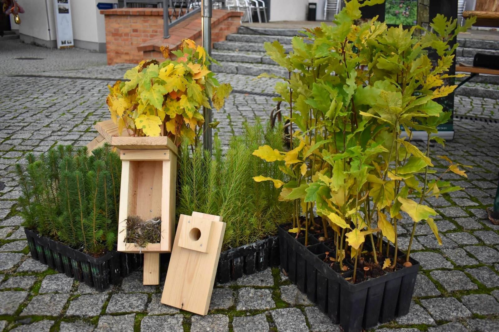 Zdjęcie w galerii na portalu naszraciborz.pl: Bezpieczne grzybobranie na Zamku Piastowskim: Frekwencja dopisała! wiadomości z regionu