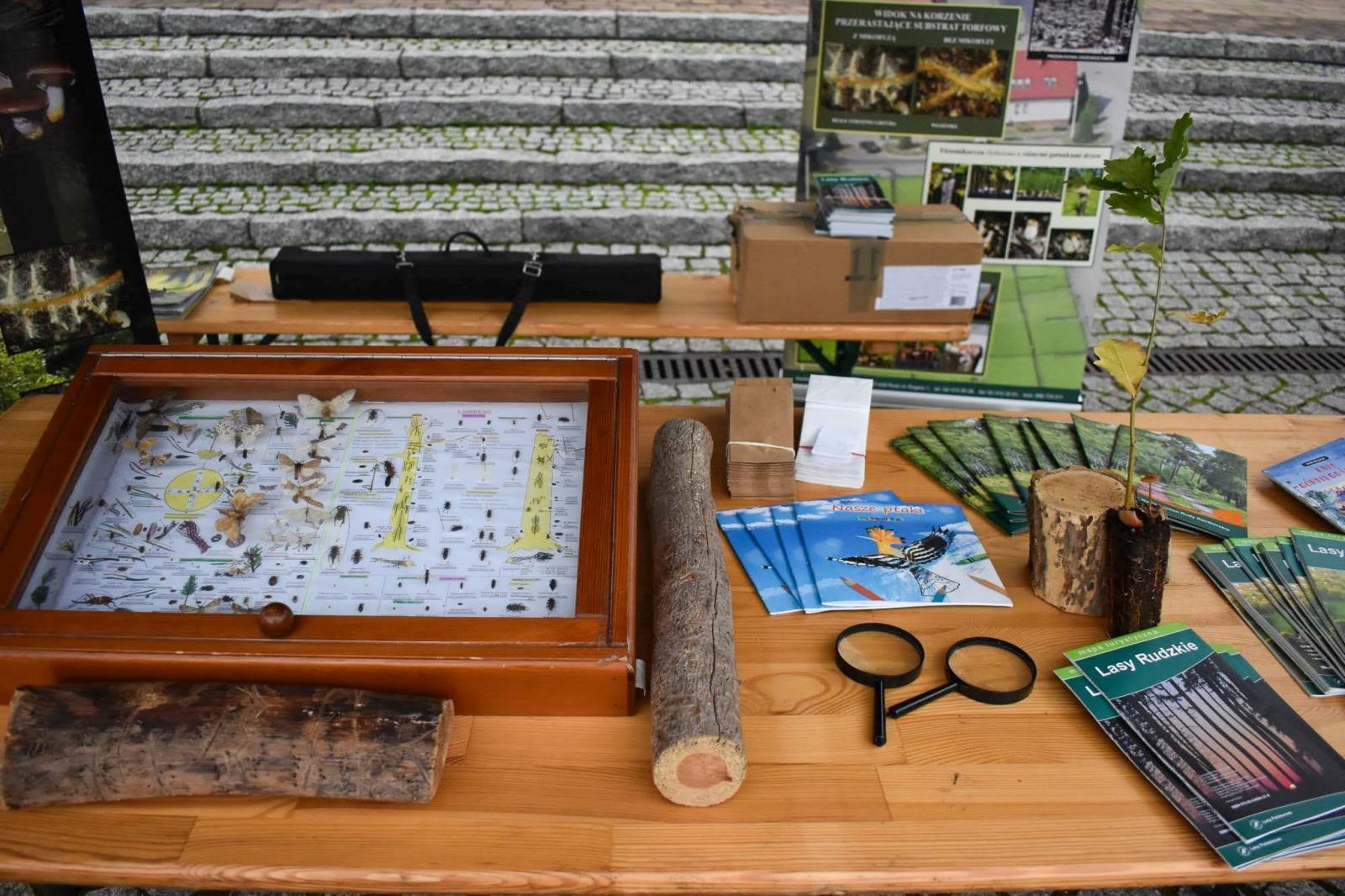 Zdjęcie w galerii na portalu naszraciborz.pl: Bezpieczne grzybobranie na Zamku Piastowskim: Frekwencja dopisała! wiadomości z regionu