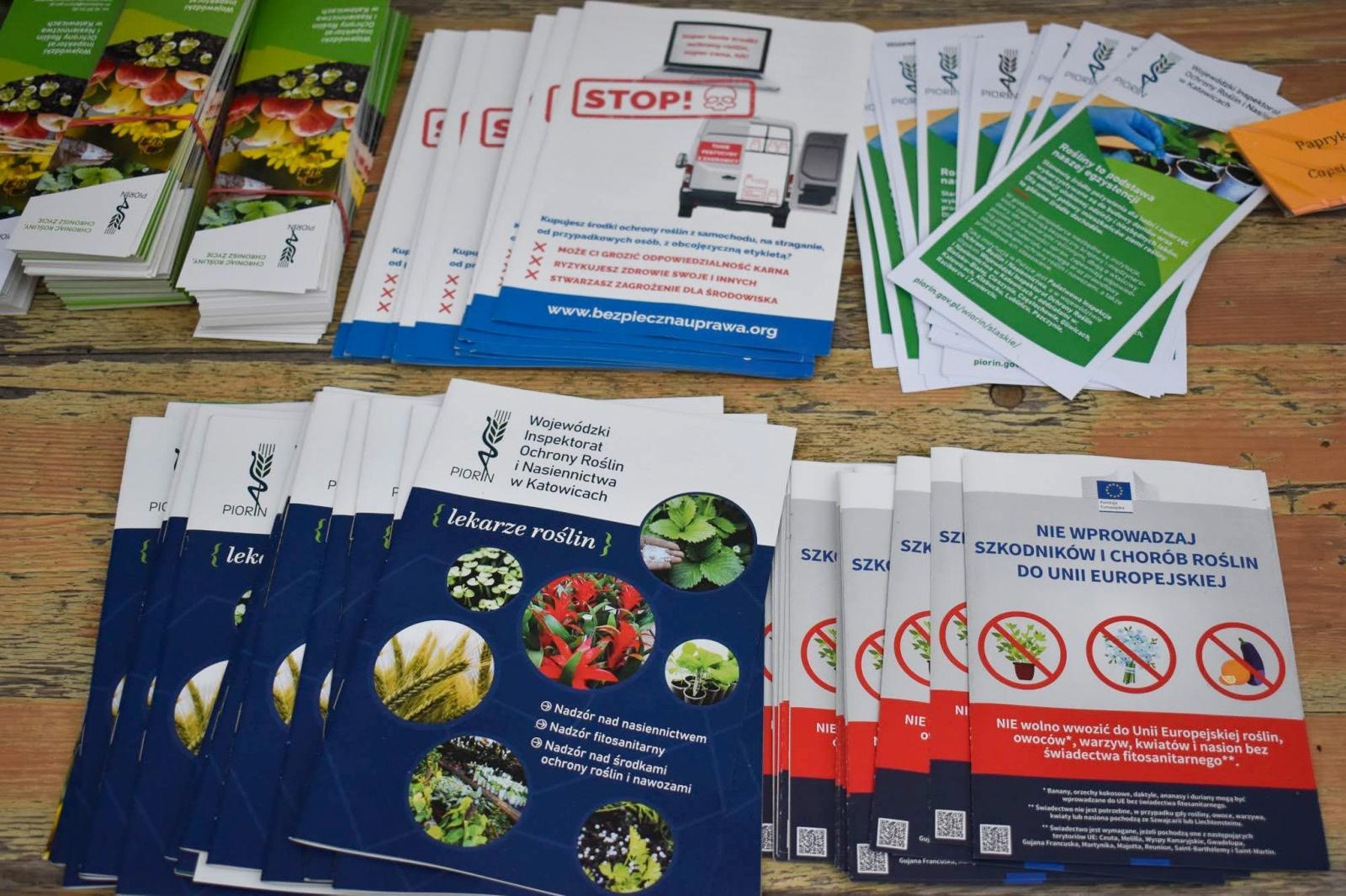 Zdjęcie w galerii na portalu naszraciborz.pl: Bezpieczne grzybobranie na Zamku Piastowskim: Frekwencja dopisała! wiadomości z regionu