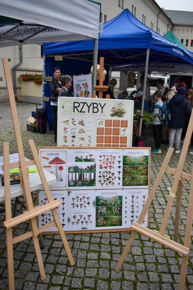 Zdjęcie w galerii na portalu naszraciborz.pl: Bezpieczne grzybobranie na Zamku Piastowskim: Frekwencja dopisała! wiadomości z regionu