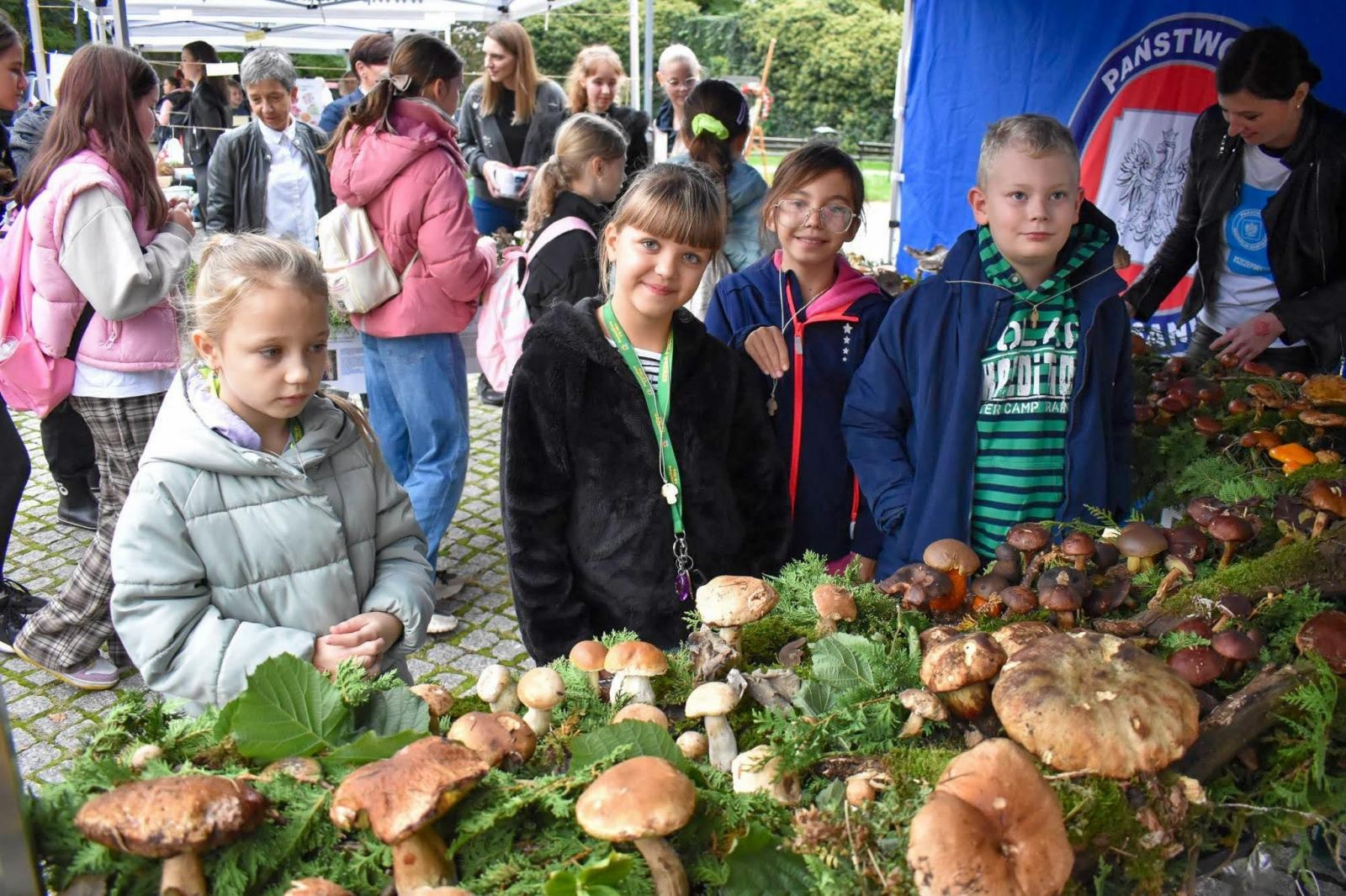 Zdjęcie w galerii na portalu naszraciborz.pl: Bezpieczne grzybobranie na Zamku Piastowskim: Frekwencja dopisała! wiadomości z regionu