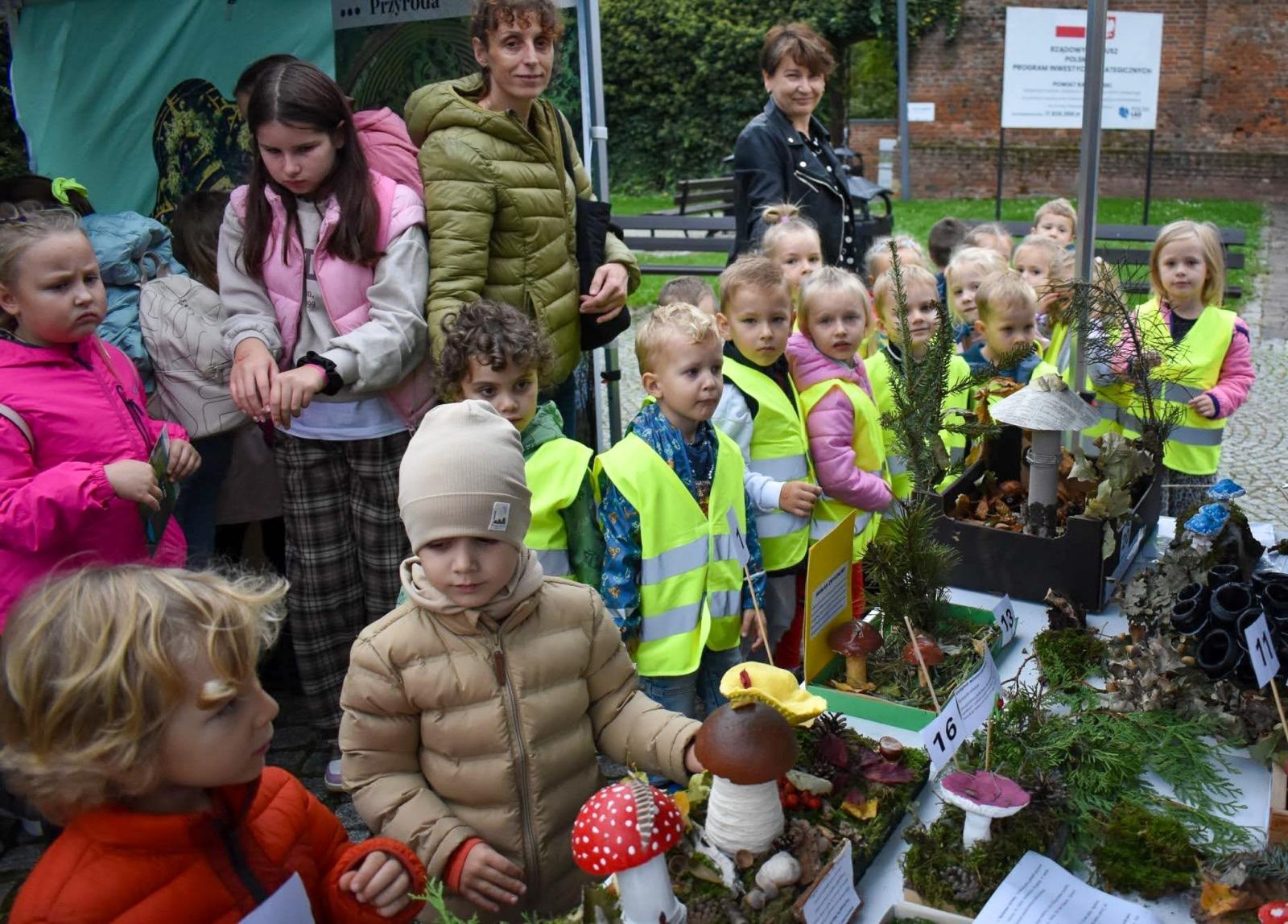 Zdjęcie w galerii na portalu naszraciborz.pl: Bezpieczne grzybobranie na Zamku Piastowskim: Frekwencja dopisała! wiadomości z regionu