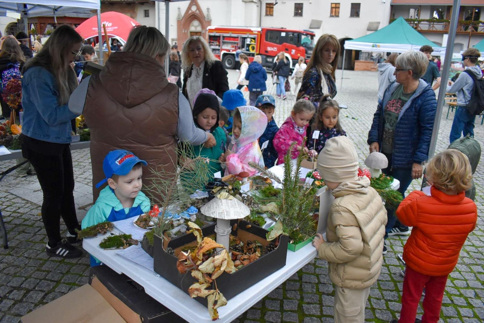 Zdjęcie w galerii na portalu naszraciborz.pl: Bezpieczne grzybobranie na Zamku Piastowskim: Frekwencja dopisała! wiadomości z regionu