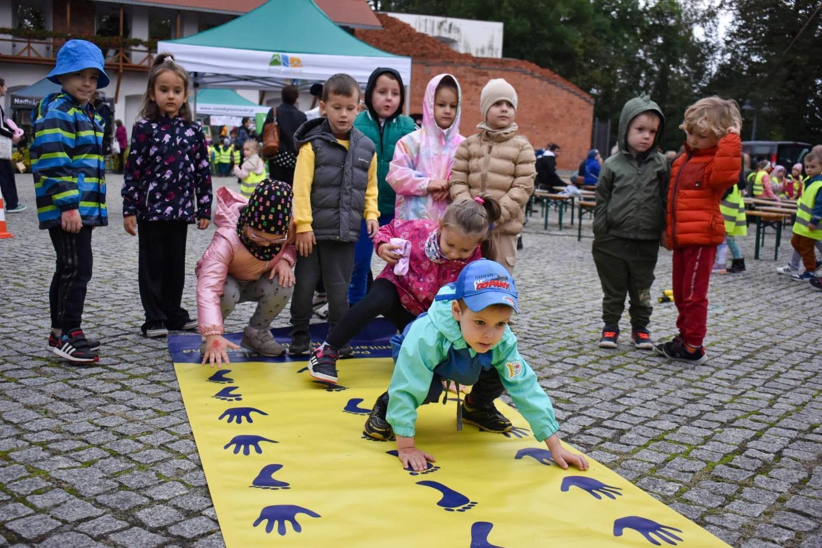 Zdjęcie w galerii na portalu naszraciborz.pl: Bezpieczne grzybobranie na Zamku Piastowskim: Frekwencja dopisała! wiadomości z regionu