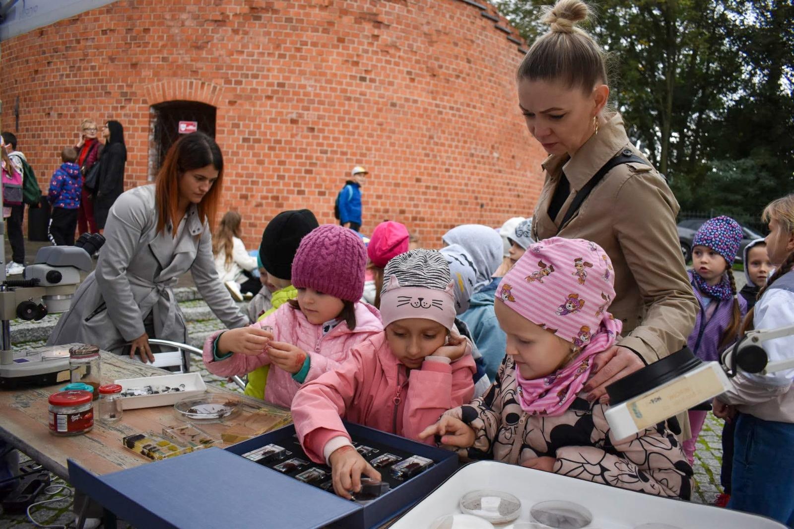 Zdjęcie w galerii na portalu naszraciborz.pl: Bezpieczne grzybobranie na Zamku Piastowskim: Frekwencja dopisała! wiadomości z regionu