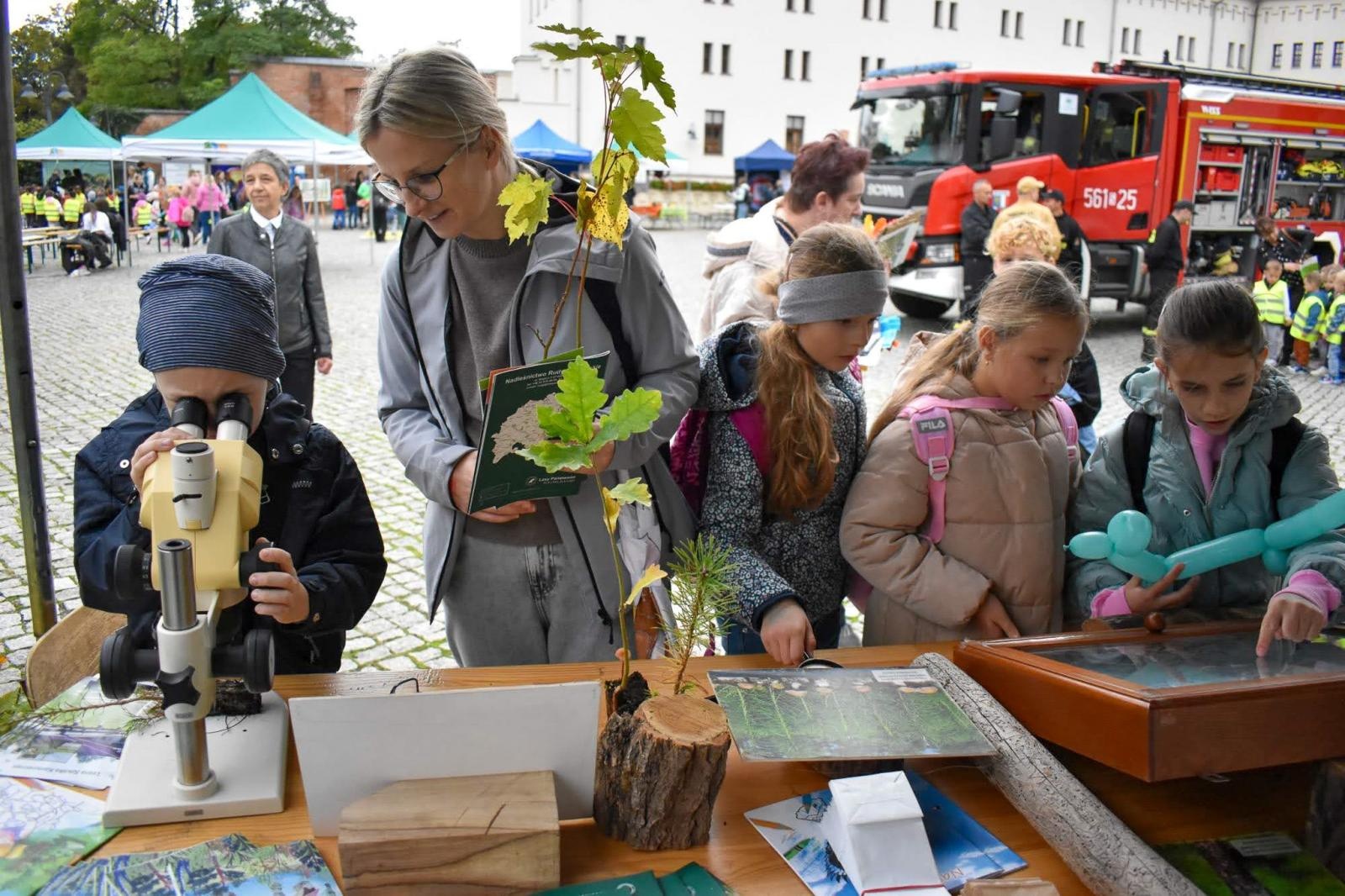 Zdjęcie w galerii na portalu naszraciborz.pl: Bezpieczne grzybobranie na Zamku Piastowskim: Frekwencja dopisała! wiadomości z regionu