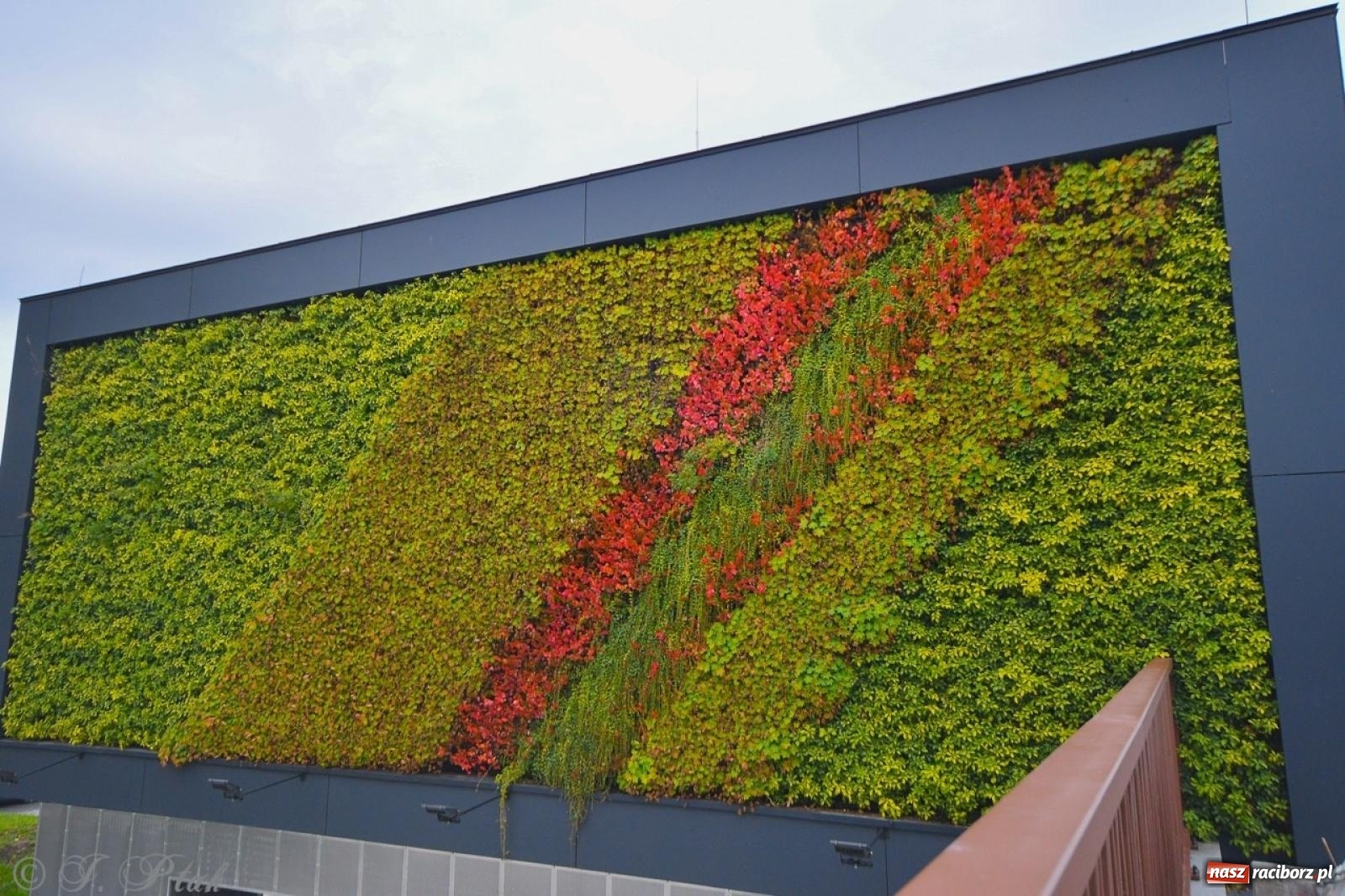 Zdjęcie w galerii na portalu naszraciborz.pl: Nowy dworzec PKP w Raciborzu gotowy na otwarcie [FOTO] wiadomości z regionu