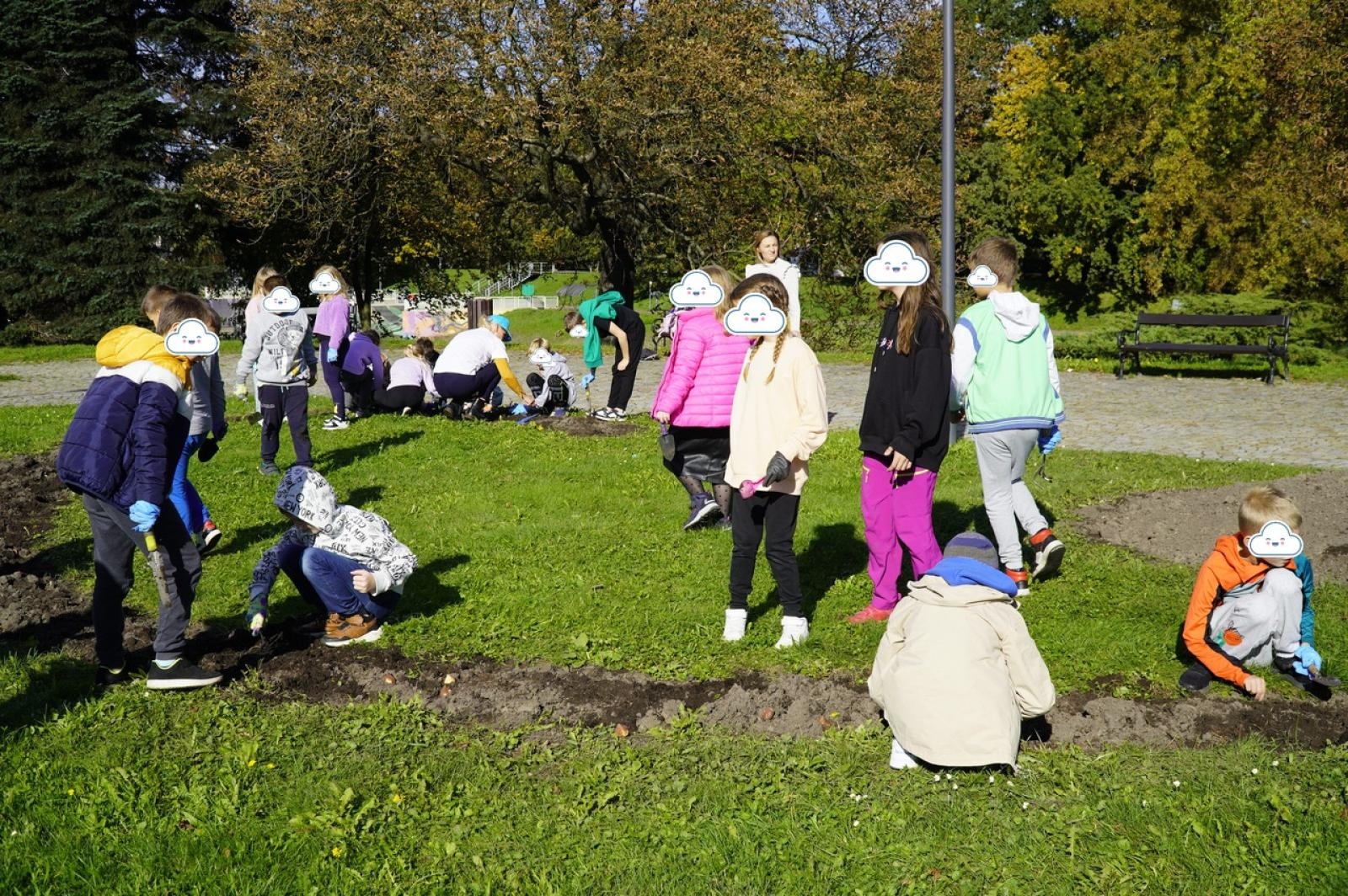 Zdjęcie w galerii na portalu naszraciborz.pl: Tulipany upiększą teren przy Matce Polce wiadomości z regionu
