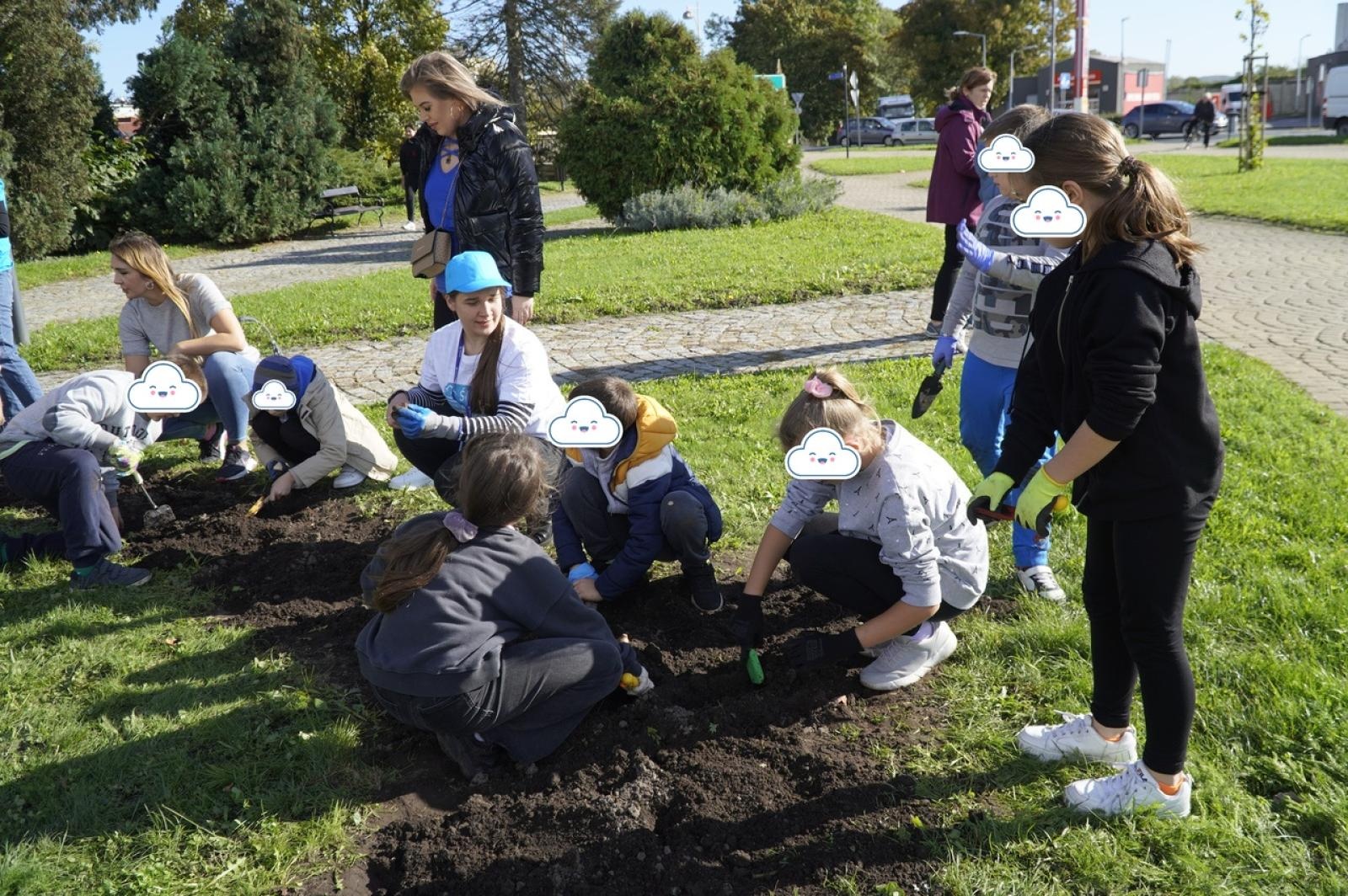 Zdjęcie w galerii na portalu naszraciborz.pl: Tulipany upiększą teren przy Matce Polce wiadomości z regionu
