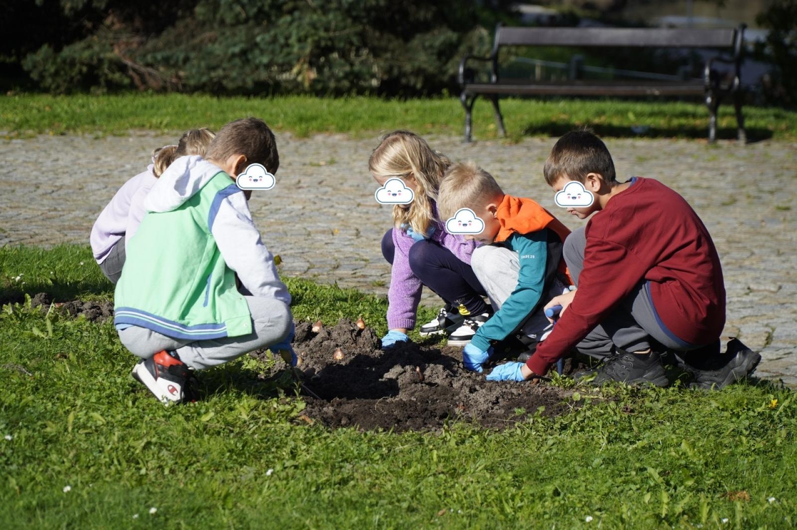 Zdjęcie w galerii na portalu naszraciborz.pl: Tulipany upiększą teren przy Matce Polce wiadomości z regionu