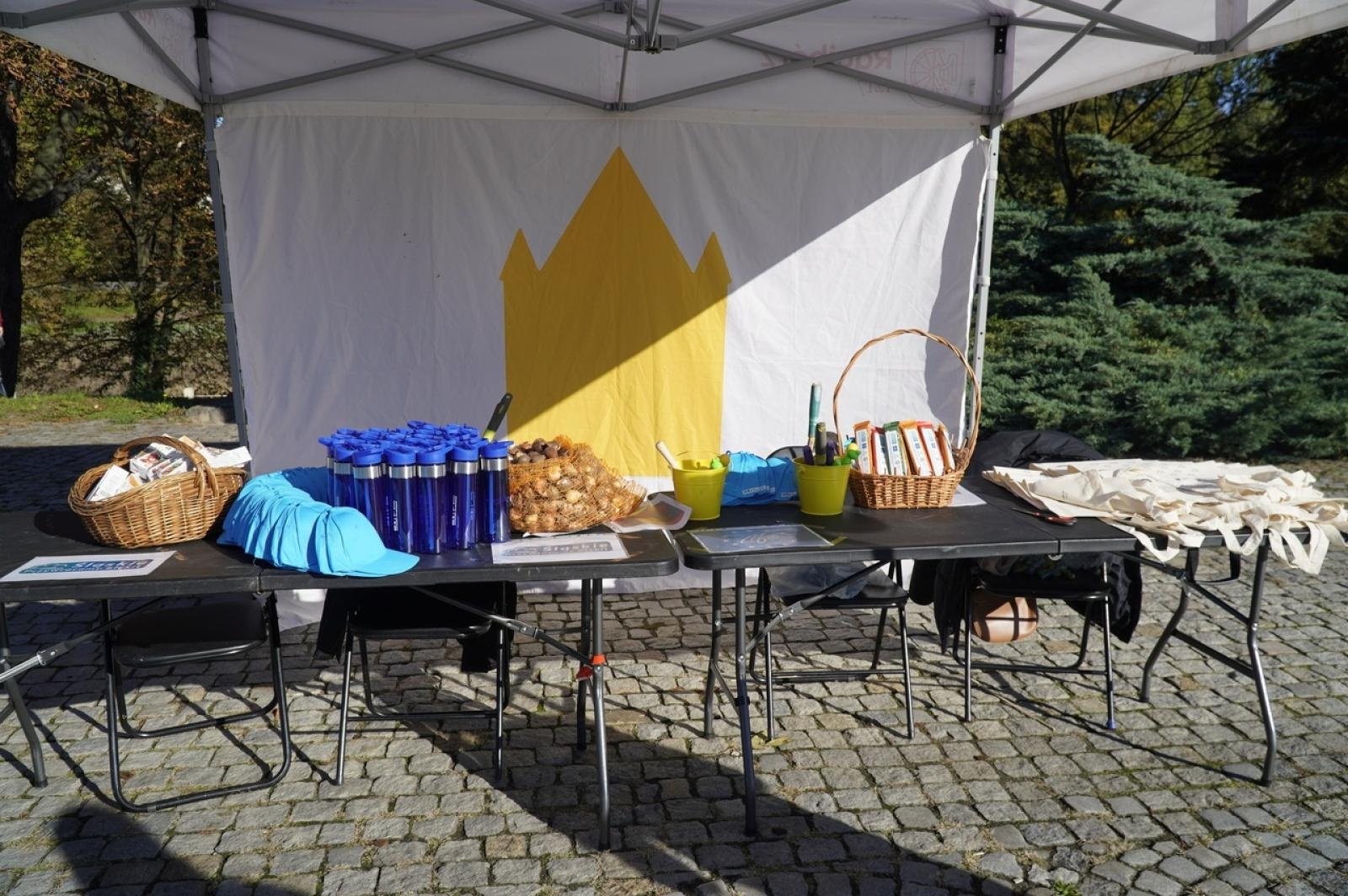 Zdjęcie w galerii na portalu naszraciborz.pl: Tulipany upiększą teren przy Matce Polce wiadomości z regionu