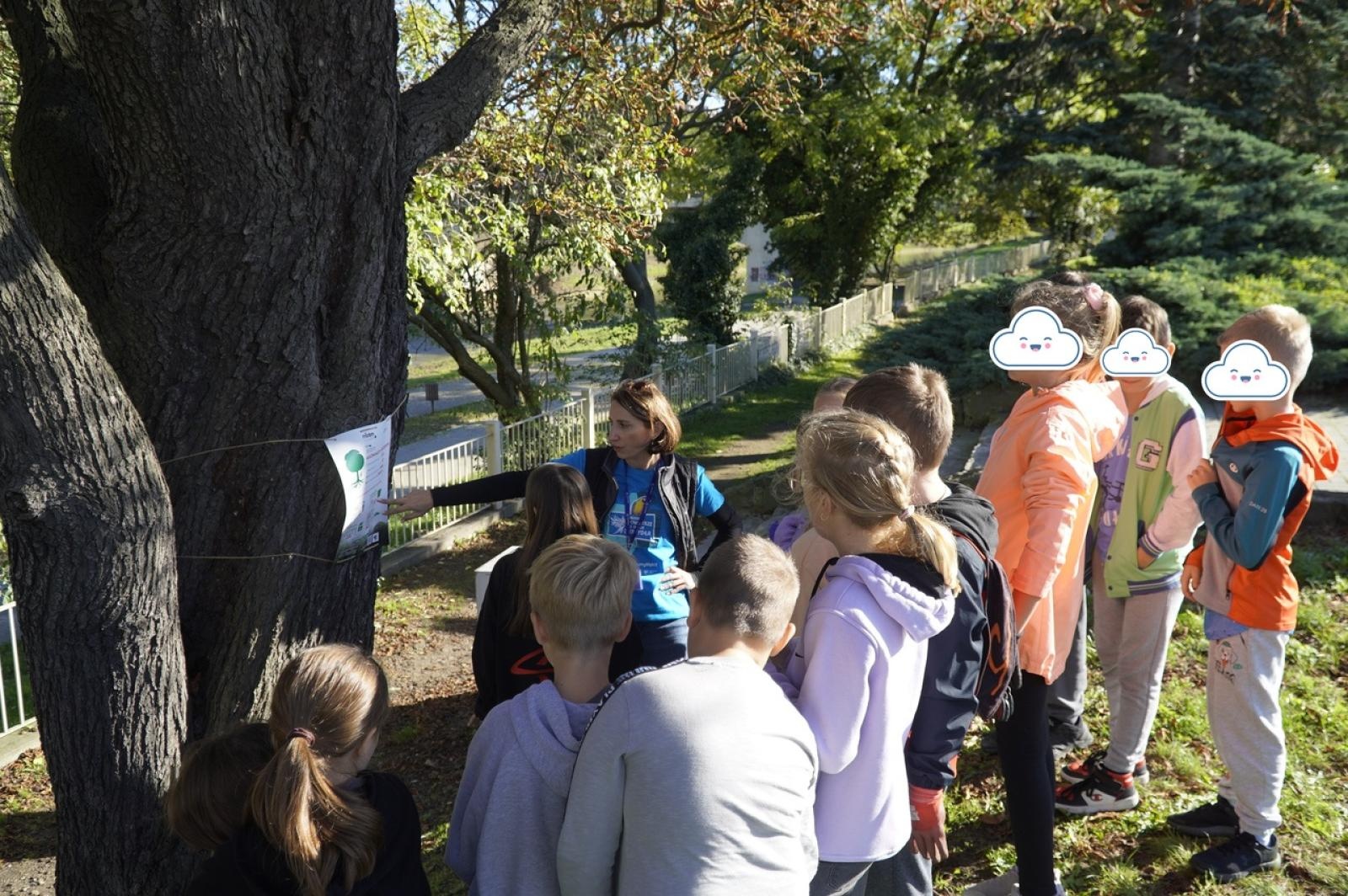 Zdjęcie w galerii na portalu naszraciborz.pl: Tulipany upiększą teren przy Matce Polce wiadomości z regionu