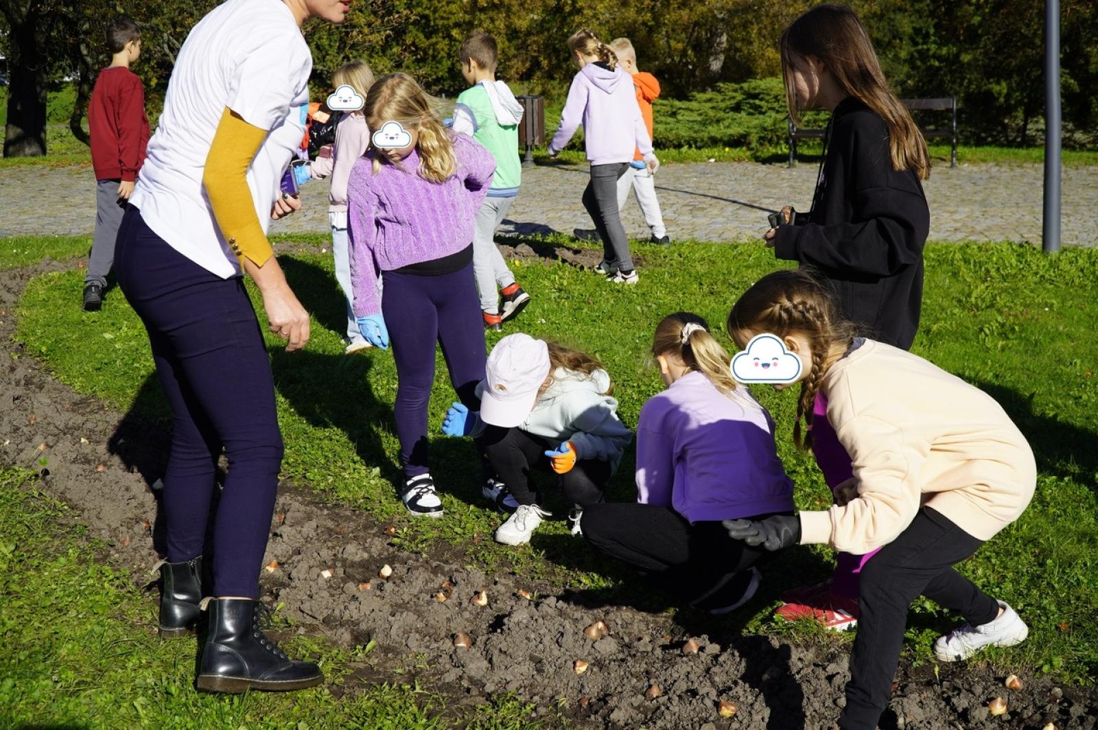 Zdjęcie w galerii na portalu naszraciborz.pl: Tulipany upiększą teren przy Matce Polce wiadomości z regionu