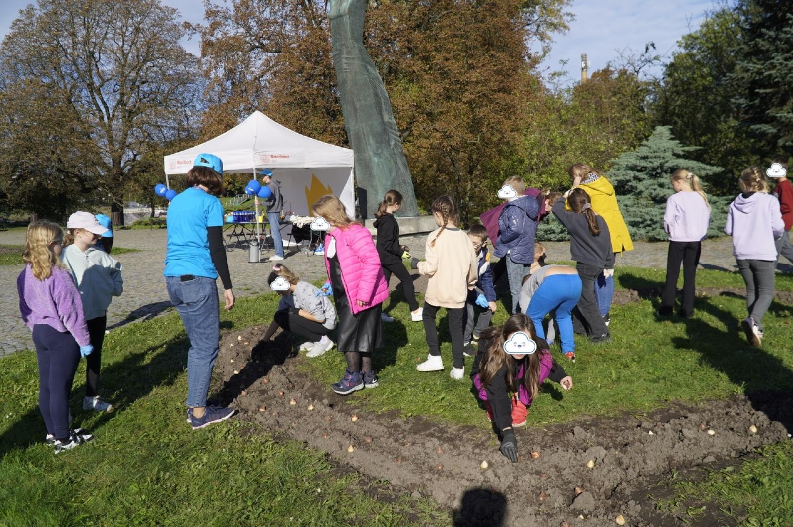 Zdjęcie w galerii na portalu naszraciborz.pl: Tulipany upiększą teren przy Matce Polce wiadomości z regionu