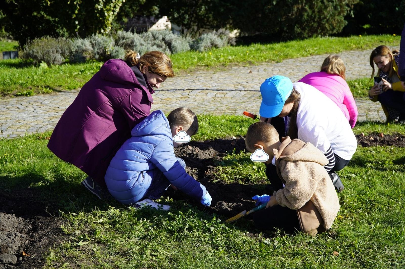 Zdjęcie w galerii na portalu naszraciborz.pl: Tulipany upiększą teren przy Matce Polce wiadomości z regionu