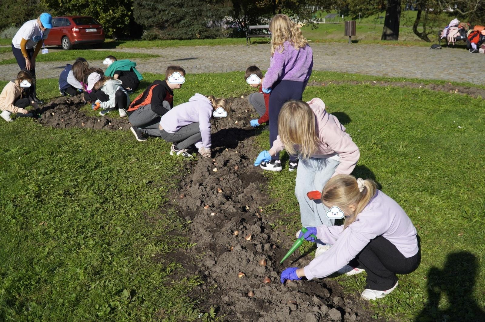 Zdjęcie w galerii na portalu naszraciborz.pl: Tulipany upiększą teren przy Matce Polce wiadomości z regionu