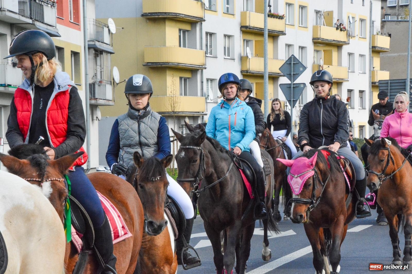 Zdjęcie w galerii na portalu naszraciborz.pl: Charytatywny Hubertus na Ostrogu [FOTO i WIDEO] wiadomości z regionu