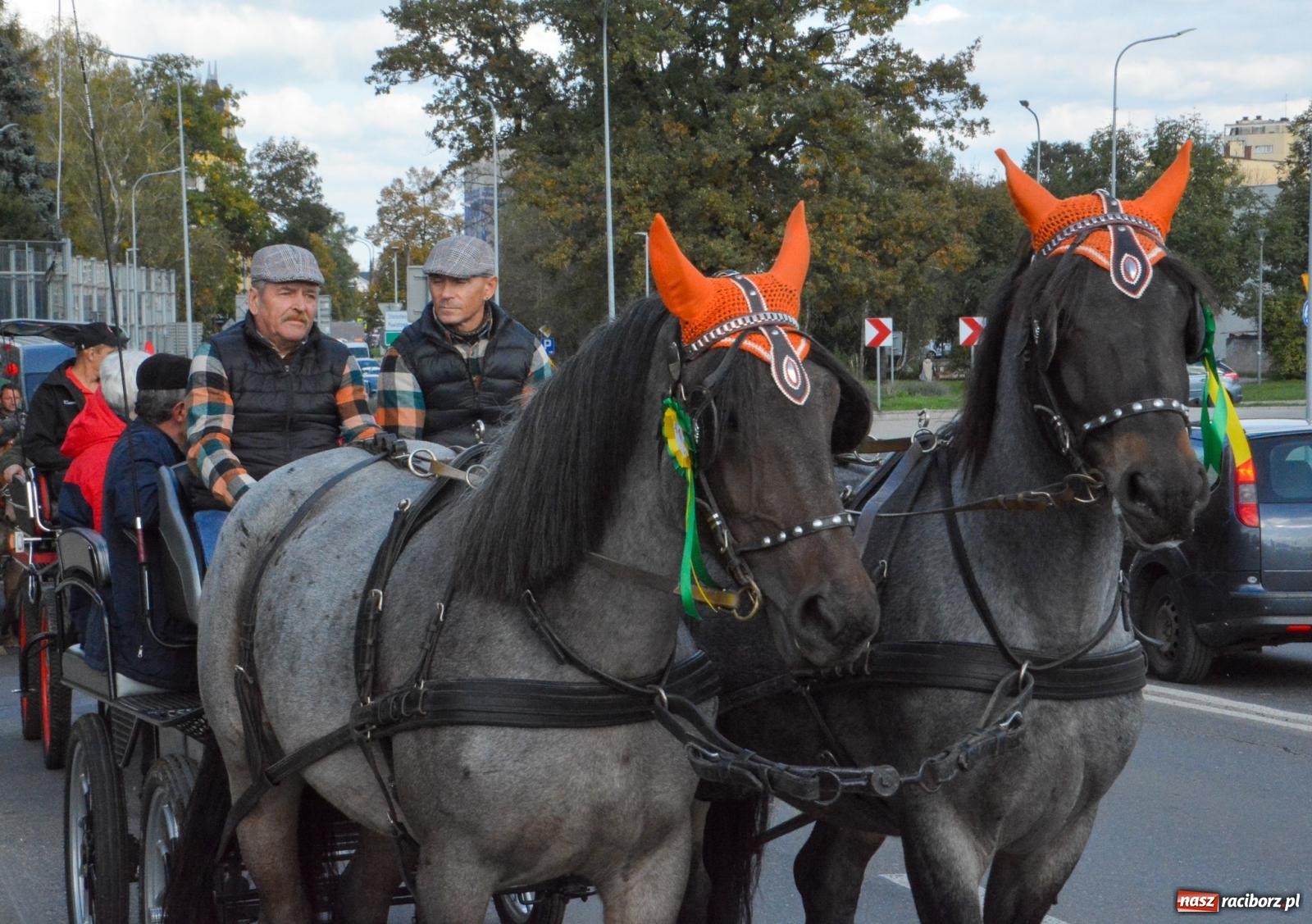 Zdjęcie w galerii na portalu naszraciborz.pl: Charytatywny Hubertus na Ostrogu [FOTO i WIDEO] wiadomości z regionu
