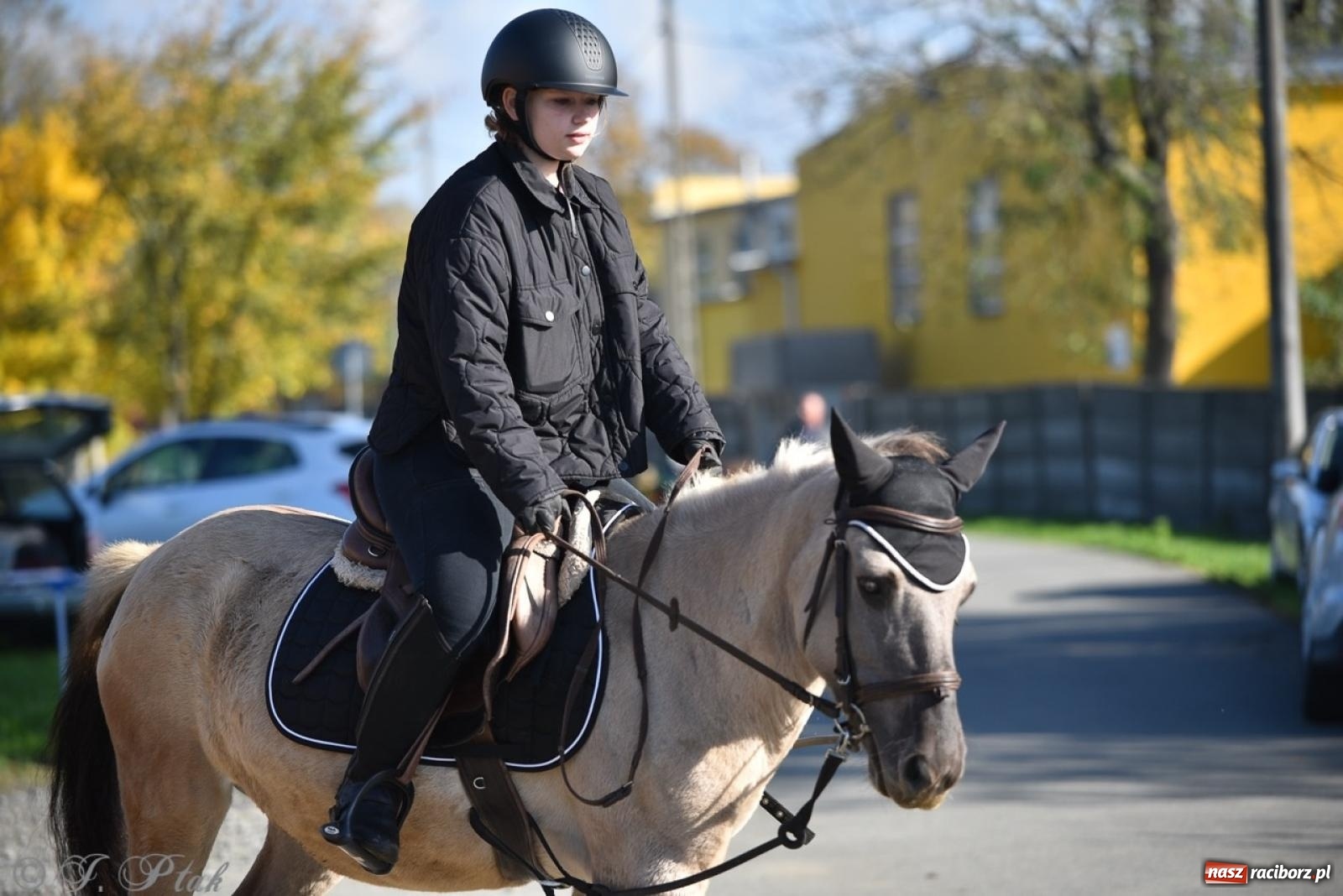 Zdjęcie w galerii na portalu naszraciborz.pl: Hubertus na Huzarskiej na bis – nie tylko tradycja, ale i pomoc dla Amelki [FOTO] wiadomości z regionu
