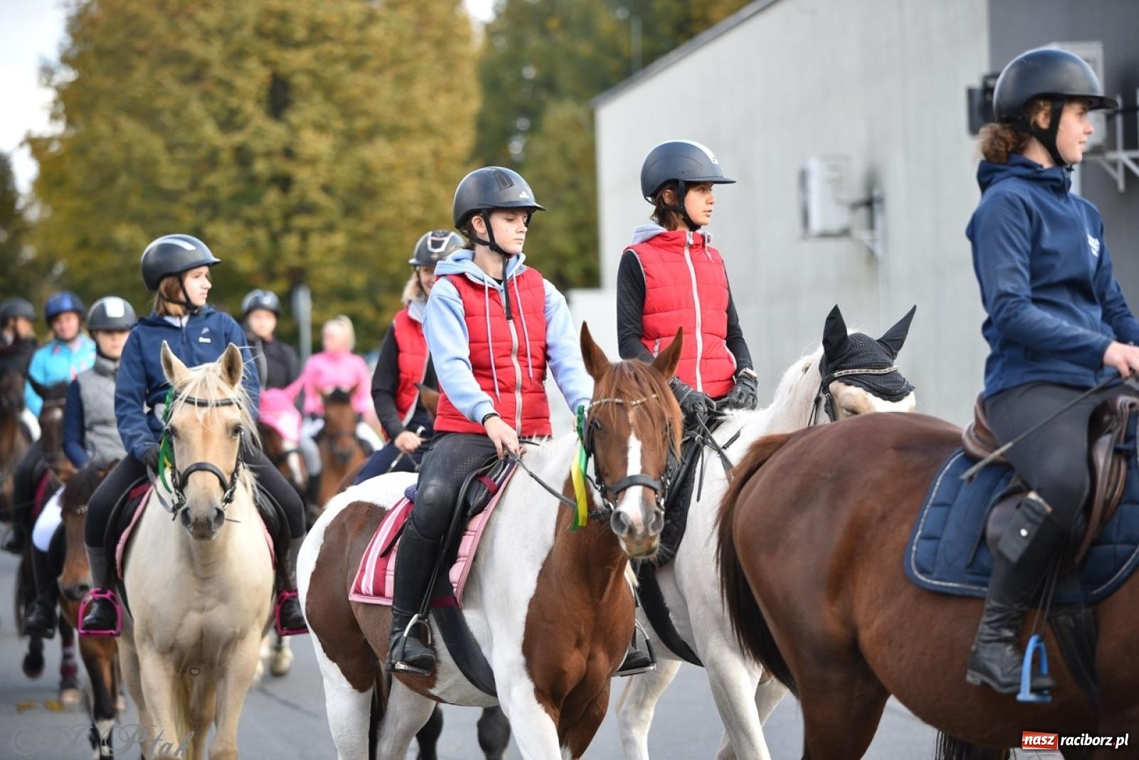 Zdjęcie w galerii na portalu naszraciborz.pl: Hubertus na Huzarskiej na bis – nie tylko tradycja, ale i pomoc dla Amelki [FOTO] wiadomości z regionu