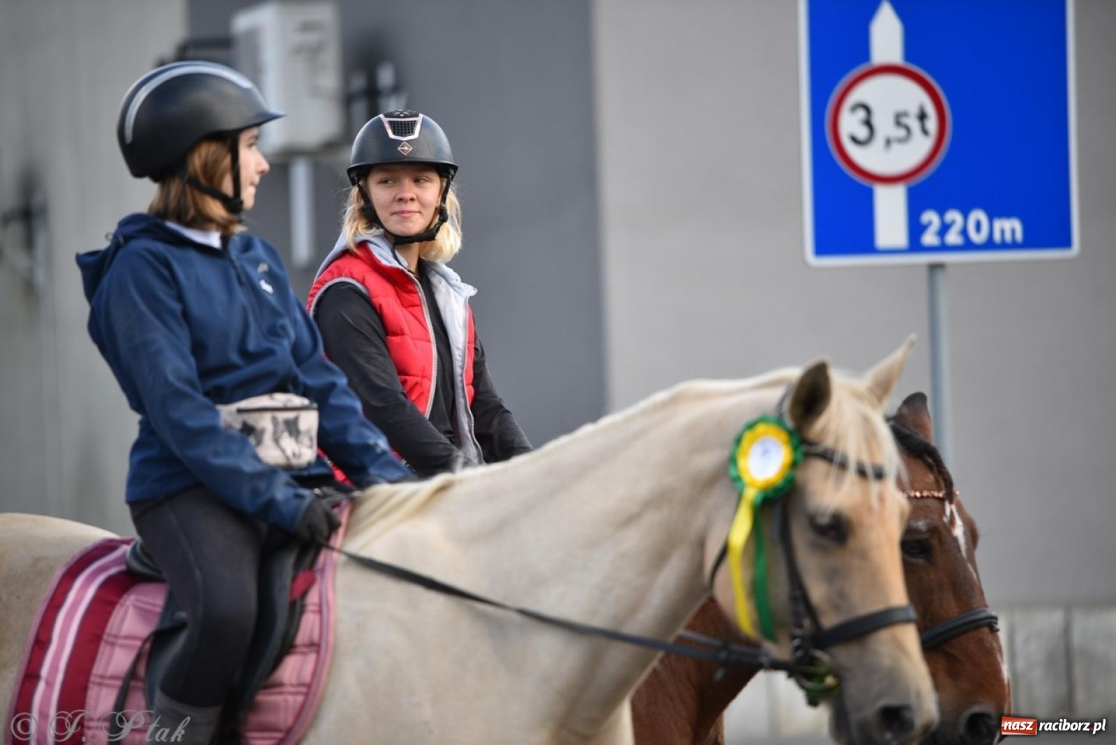 Zdjęcie w galerii na portalu naszraciborz.pl: Hubertus na Huzarskiej na bis – nie tylko tradycja, ale i pomoc dla Amelki [FOTO] wiadomości z regionu