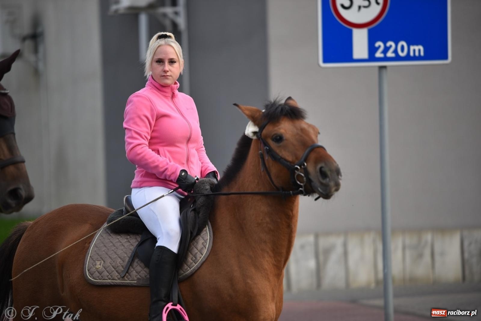 Zdjęcie w galerii na portalu naszraciborz.pl: Hubertus na Huzarskiej na bis – nie tylko tradycja, ale i pomoc dla Amelki [FOTO] wiadomości z regionu