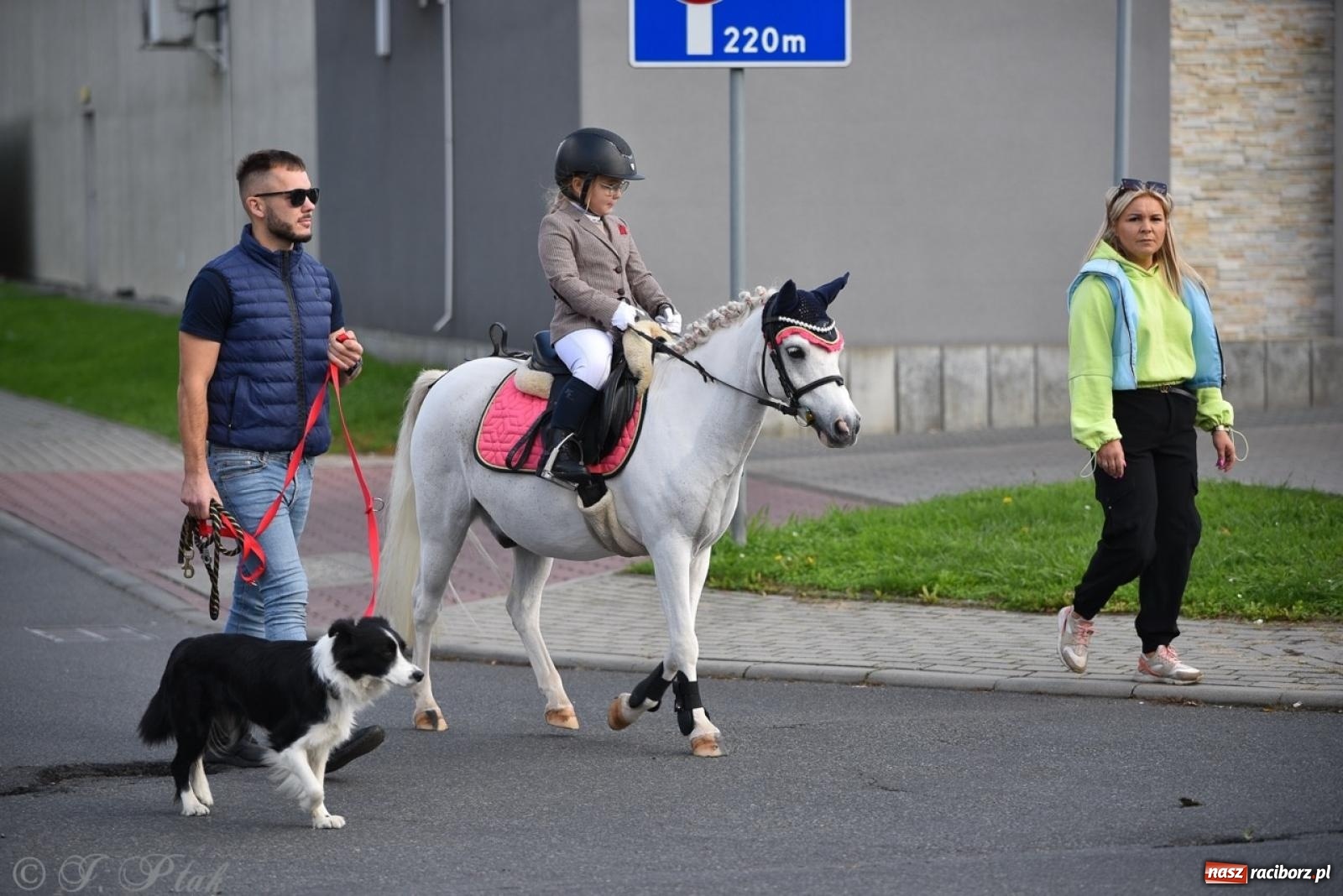 Zdjęcie w galerii na portalu naszraciborz.pl: Hubertus na Huzarskiej na bis – nie tylko tradycja, ale i pomoc dla Amelki [FOTO] wiadomości z regionu