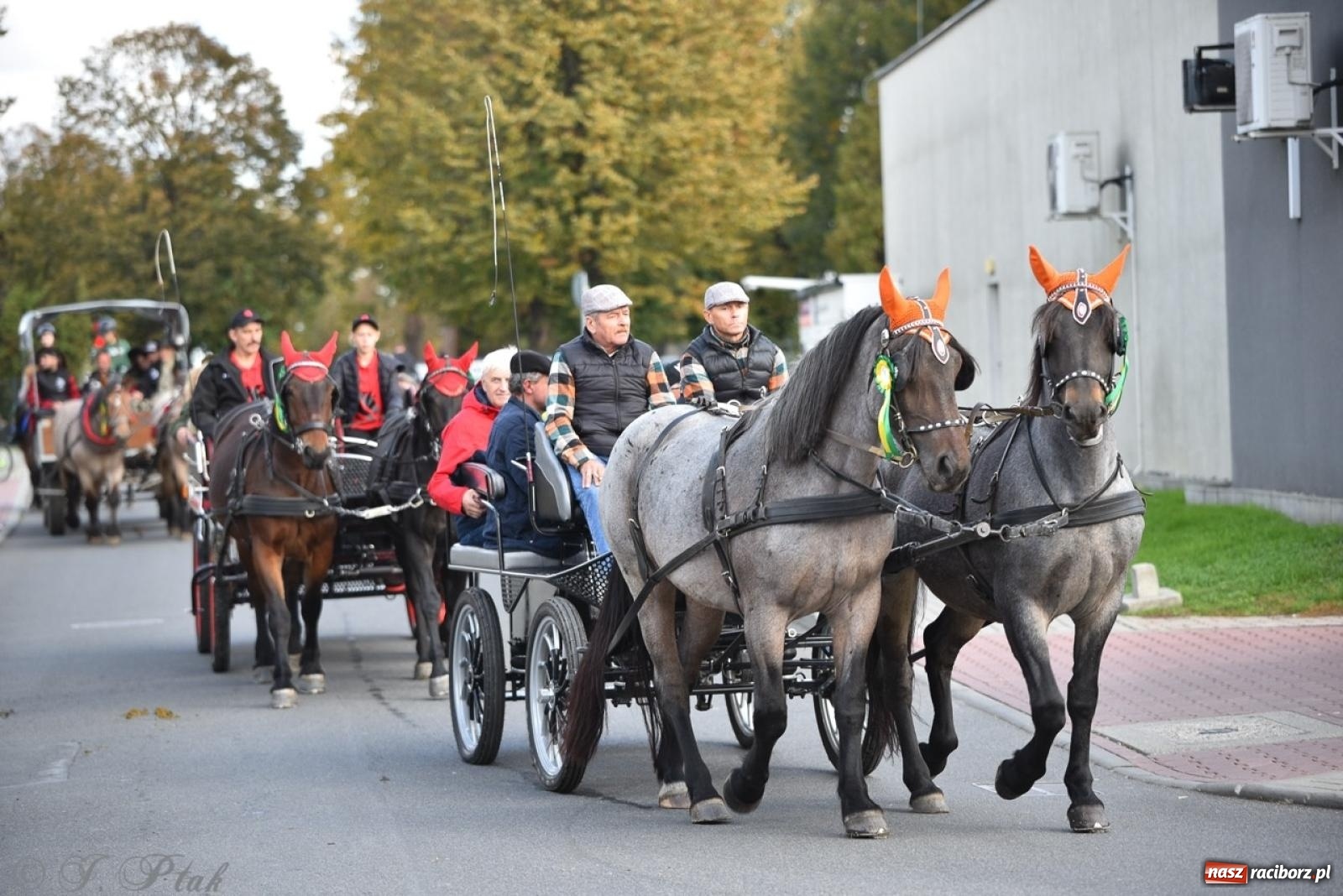 Zdjęcie w galerii na portalu naszraciborz.pl: Hubertus na Huzarskiej na bis – nie tylko tradycja, ale i pomoc dla Amelki [FOTO] wiadomości z regionu